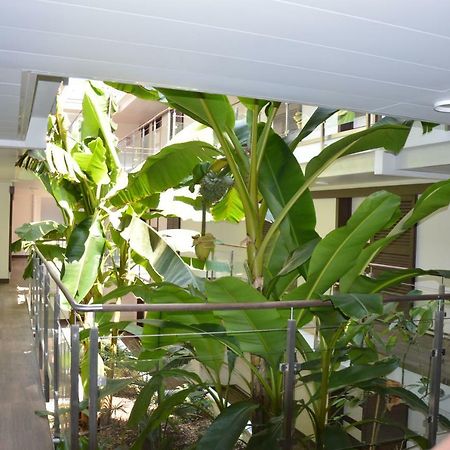 Studio Zenazur Apartment Antibes Exterior photo